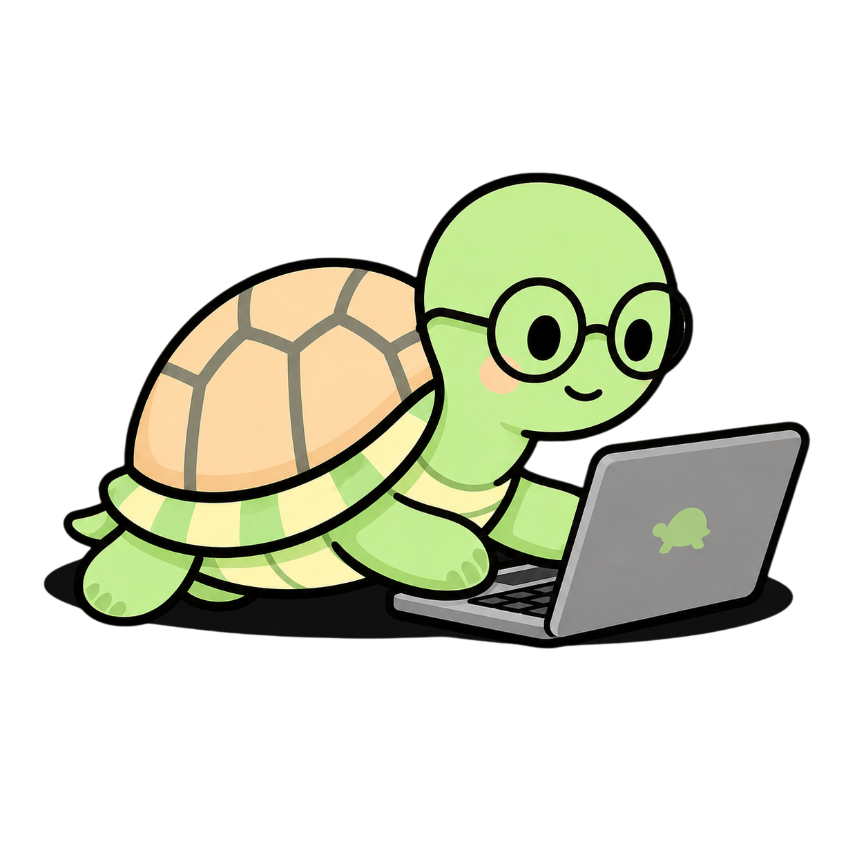 Jeema tortoise working at a laptop