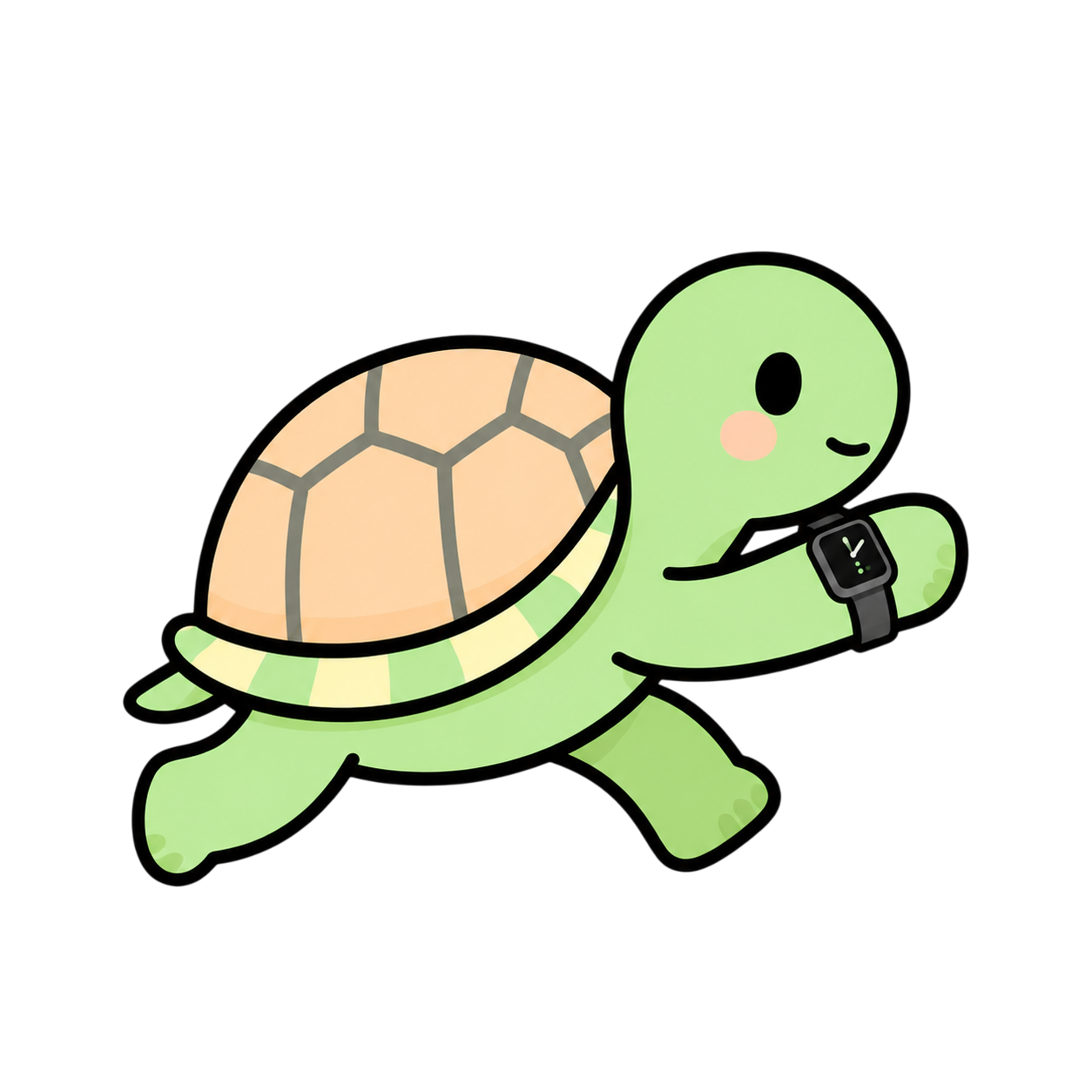 Jeema tortoise wearing a watch